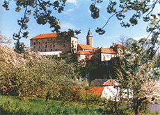 Lede� castle during spring