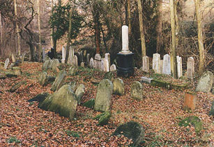 Der j�dische Friedhof